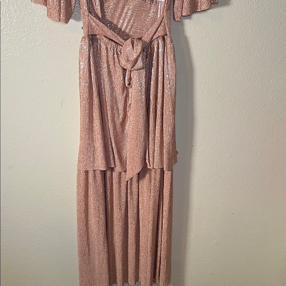 Sabina Musayev pink shimmering Maxi Dress OS - Picture 6 of 13